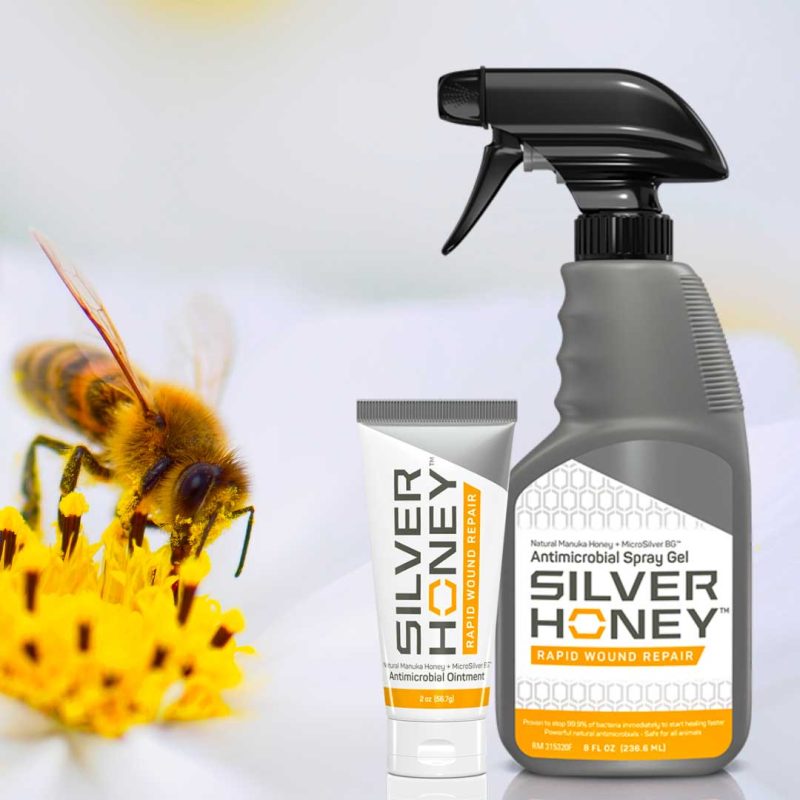 Silver Honey